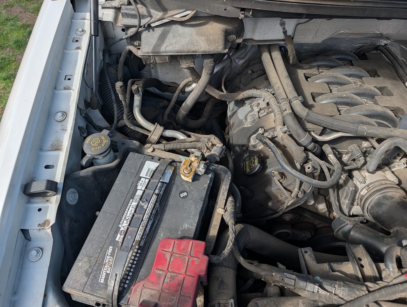 Battery and engine components checked under the hood of a work pickup