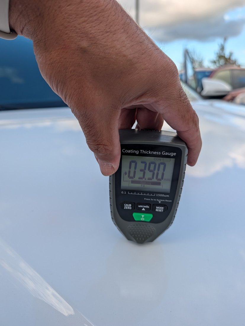 Paint coating thickness measurement during a pre-purchase inspection